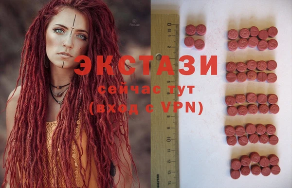 крисы Кулебаки