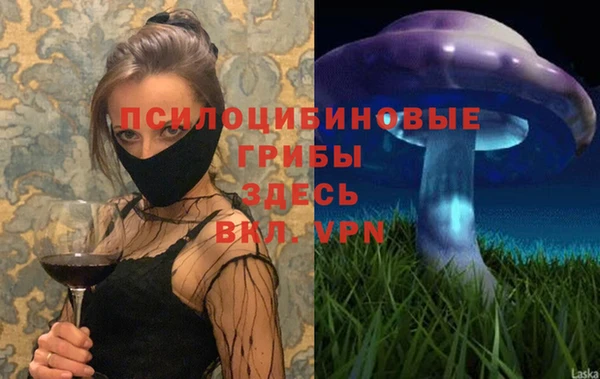 твердый Куйбышев