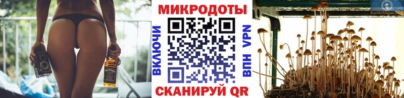 купить закладку  Чайковский  Галлюциногенные грибы ЛСД 
