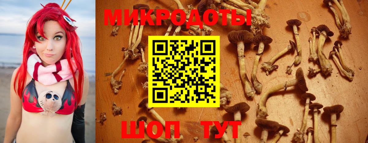 Чайковский  где найти наркотики  Вход с VPN  Псилоцибиновые грибы Psilocybe 