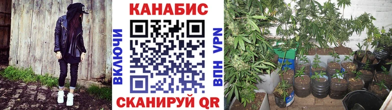 omg как войти  Чайковский  Марихуана OG Kush 