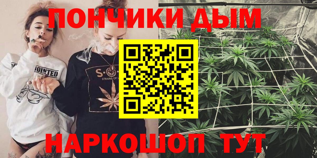 Шишки марихуана конопля  Бошки Шишки план  Бошки Шишки семена  Чайковский  Каннабис гибрид  Вход с VPN 